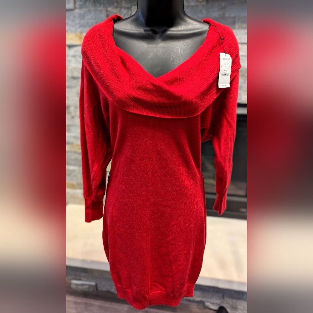 Express Cowl Neck Sweater Dress